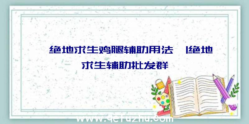 「绝地求生鸡腿辅助用法」|绝地求生辅助批发群